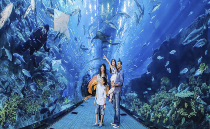 Visitors exploring the Dubai Aquarium Tunnel at Dubai Mall