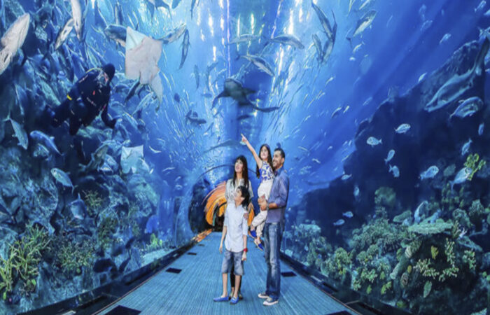 Visitors exploring the Dubai Aquarium Tunnel at Dubai Mall