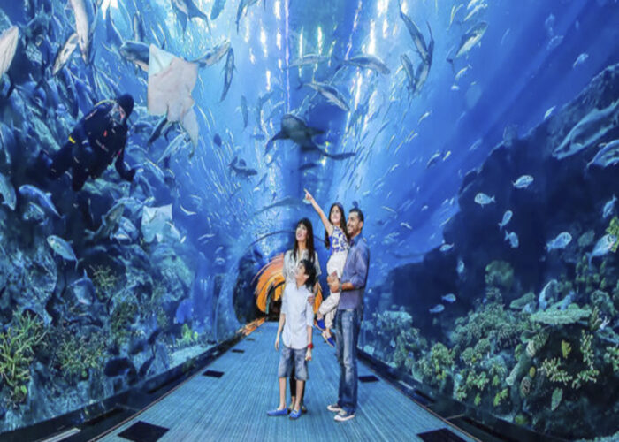 Visitors exploring the Dubai Aquarium Tunnel at Dubai Mall