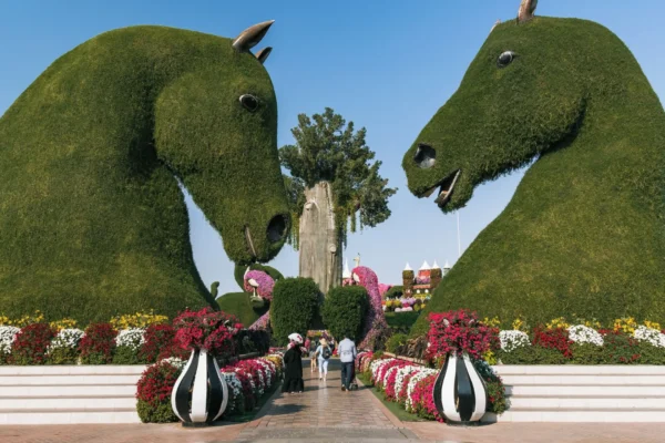 Dubai Miracle Garden